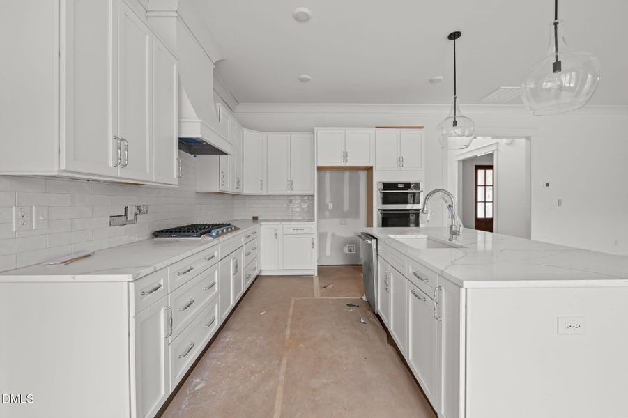 75-web-or-mls-P1097600