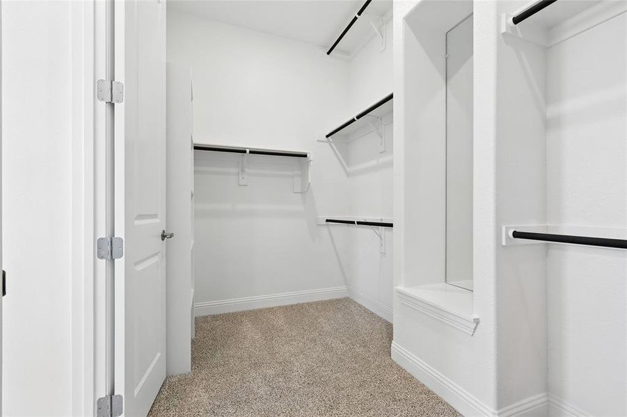 Spacious closet with light carpet