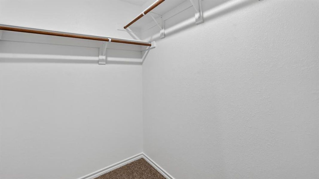 Walk-in closet featuring white painted walls, wood-finish hanging rods, white shelving, and brown carpet flooring