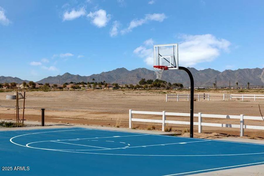 Landsea_CitrusPark_9778b-4x200 Landsea_CitrusPark_9778b-4x200