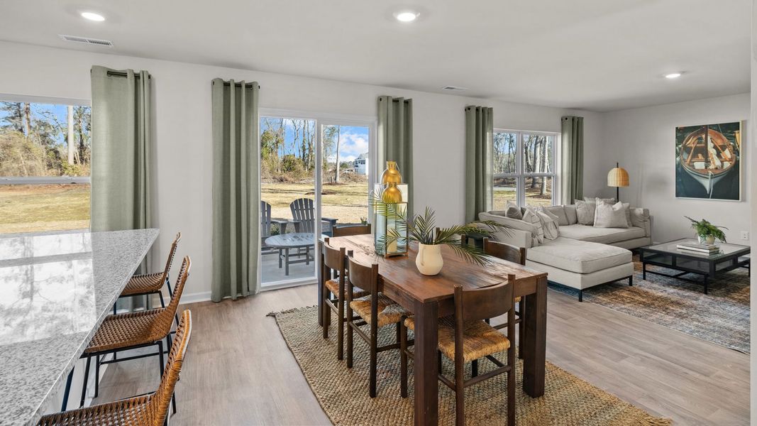Furnished interior view inside a new home in Hunter Hill, Rocky Mount (Image 10).