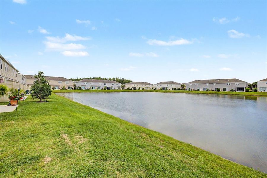 Natural landscape and outdoor views near in Wesley Chapel (Image 49). Natural landscape and outdoor views near in Wesley Chapel (Image 49).