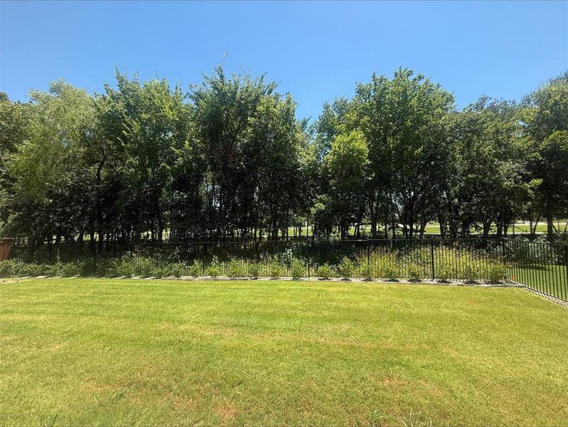 Natural landscape and outdoor views near in Van Alstyne (Image 18). Natural landscape and outdoor views near in Van Alstyne (Image 18).