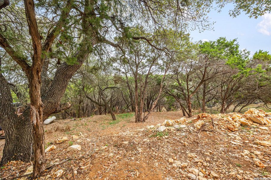 Natural landscape and outdoor views near  in Canyon Lake (Image 47).