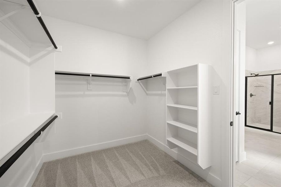Furnished interior view inside a new home in Bridgewater, Midlothian (Image 11).