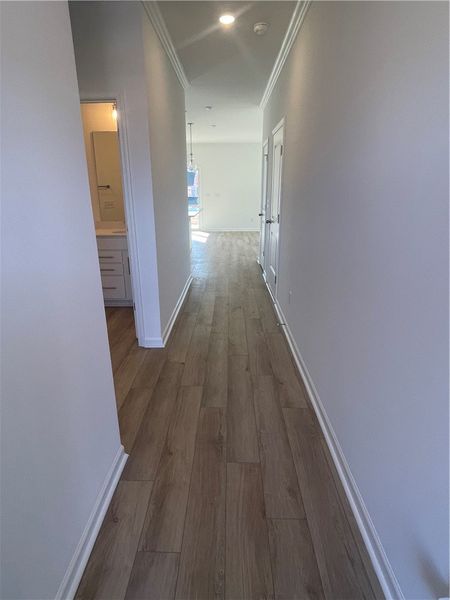 Spacious, unfurnished interior of a new home in Springwood Grove, Central (Image 16).