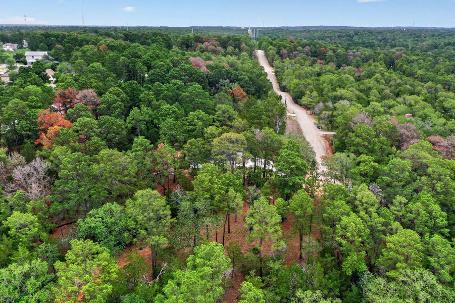 A tranquil, tree-filled landscape offers a peaceful retreat with a winding road passing through the verdant expanse. A tranquil, tree-filled landscape offers a peaceful retreat with a winding road passing through the verdant expanse.