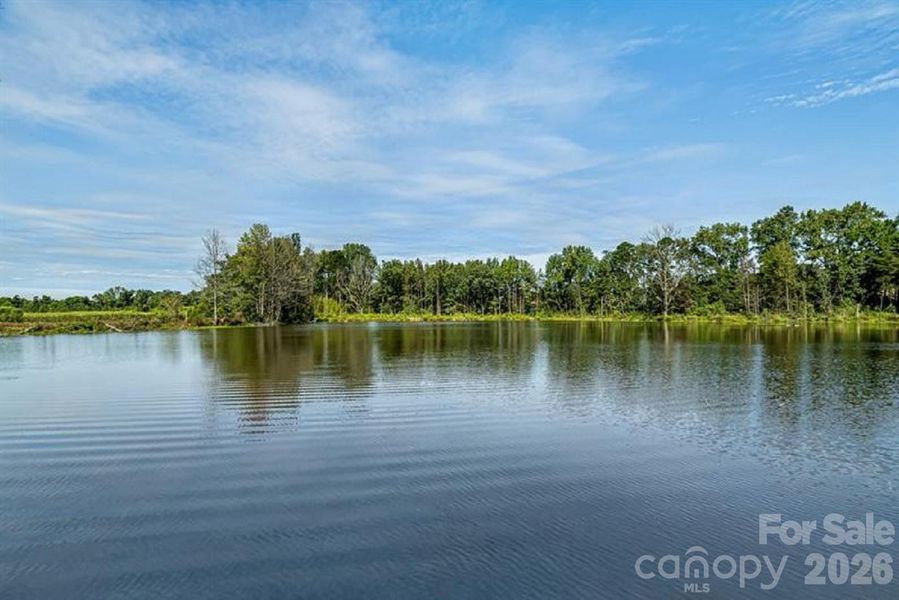 Area Photo - Two peaceful lakes nestled within the community, surrounded by lush greenery and walking paths.  the serene setting reflects calm waters, inviting quiet moments and scenic views.
