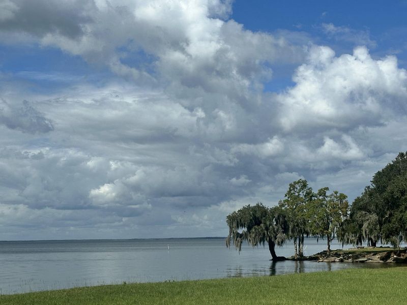 Natural landscape and outdoor views near  in Bonneau (Image 10).