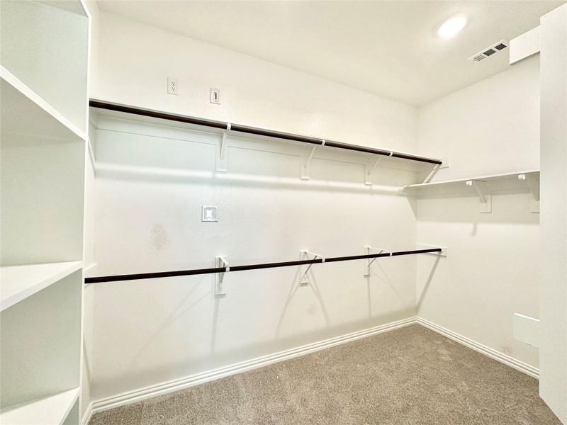 Spacious closet featuring carpet flooring Spacious closet featuring carpet flooring