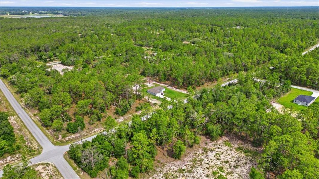 Natural landscape and outdoor views near in Dunnellon (Image 35). Natural landscape and outdoor views near in Dunnellon (Image 35).