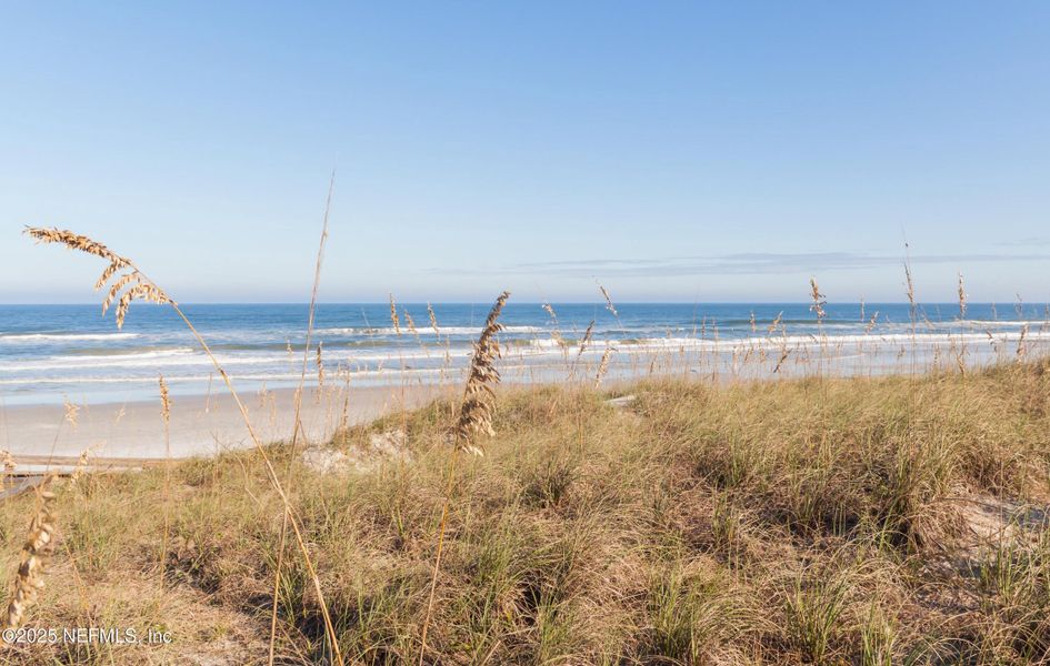 Natural landscape and outdoor views near  in Neptune Beach (Image 49).