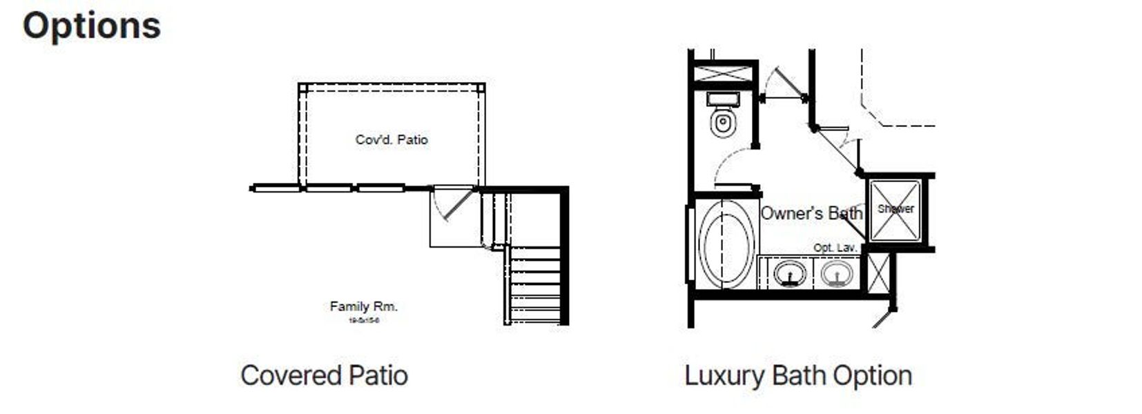 Van Gogh Options Van Gogh Options