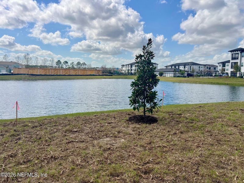 Natural landscape and outdoor views near Corsair in Middleburg (Image 4).