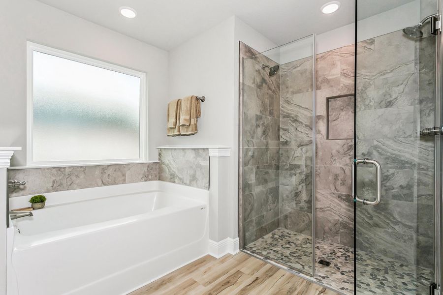 Furnished interior view inside a new home in Walther Reserve, Milton (Image 30).