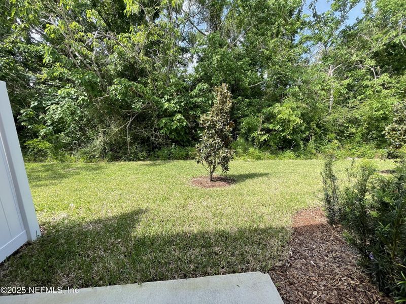 Natural landscape and outdoor views near  in Jacksonville (Image 15).