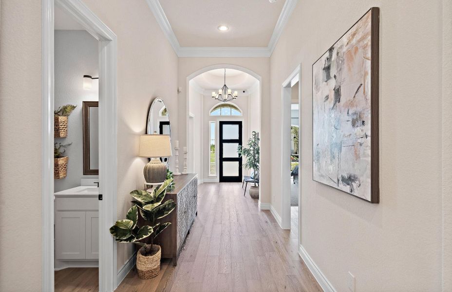 **this is a representative photo**