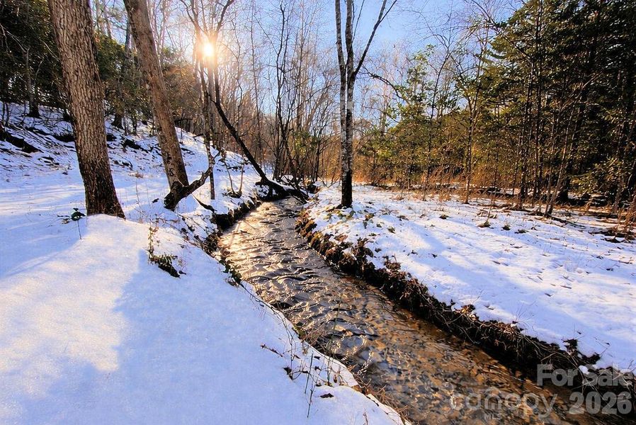 Natural landscape and outdoor views near  in Murphy (Image 27).