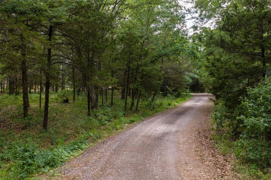 Natural landscape and outdoor views near  in Van (Image 34).
