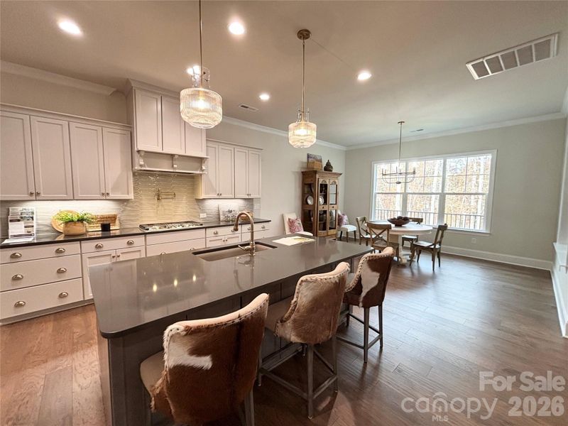 Furnished interior view inside a new home in Irish Creek, Landis (Image 5).