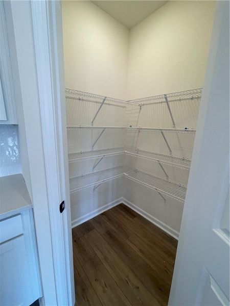 Spacious, unfurnished interior of a new home in Springwood Grove, Central (Image 22).