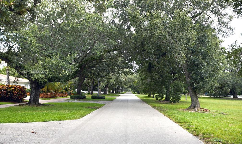 Front exterior of a new home in , Coral Gables, FL, highlighting curb appeal (Image 26).