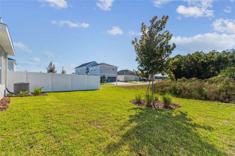 Exterior details and patio area of a home in Persimmon Park - Garden Series, Wesley Chapel (Image 31).