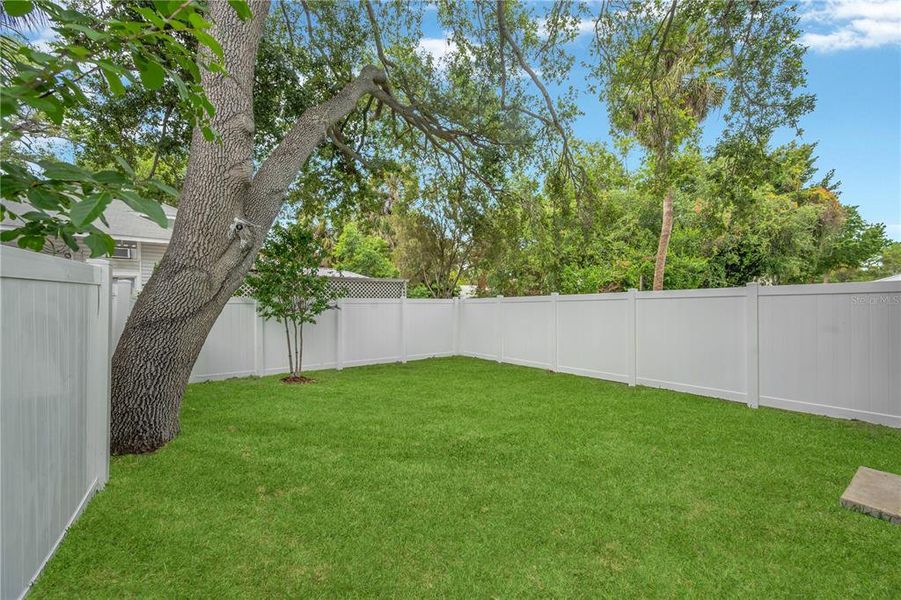 Exterior details and patio area of a home in , Tampa (Image 33).