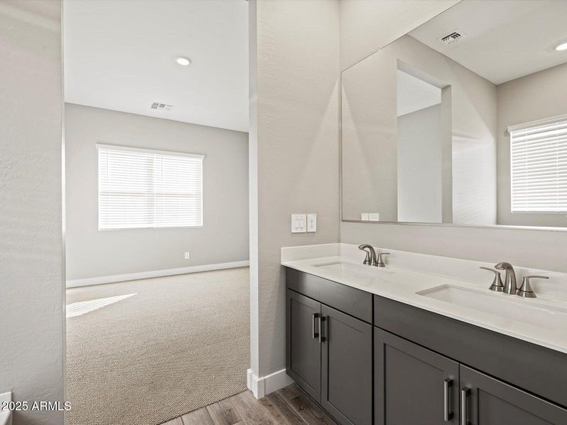 Primary Bathroom View 2 Primary Bathroom View 2