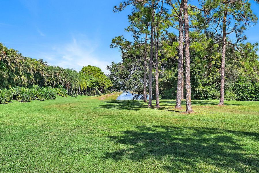 Natural landscape and outdoor views near  in West Palm Beach (Image 61).