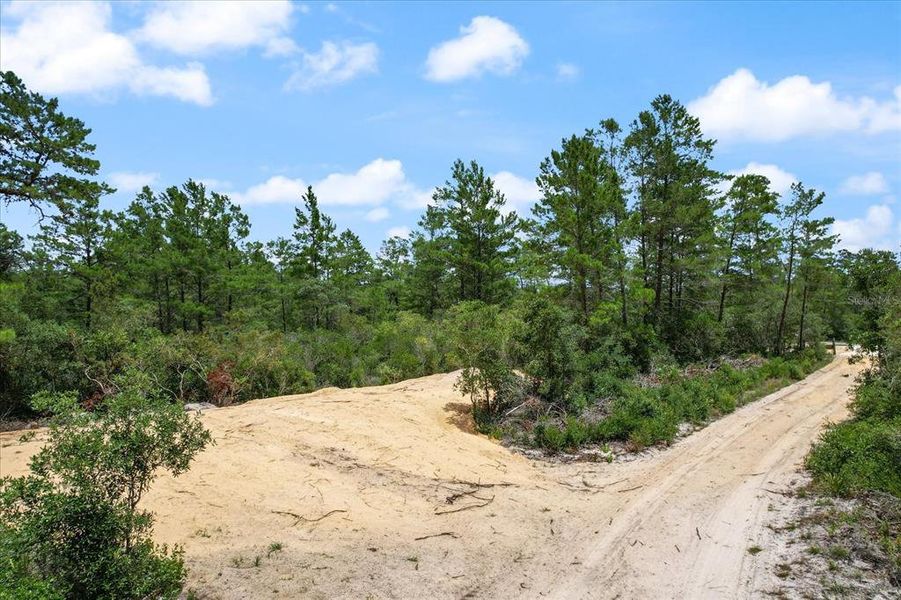 Cleared Area