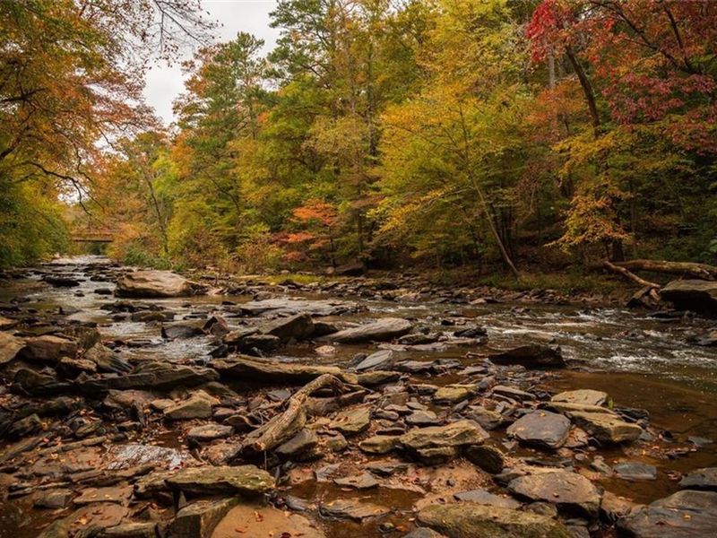 Natural landscape and outdoor views near The Village at Shallowford in Kennesaw (Image 34).