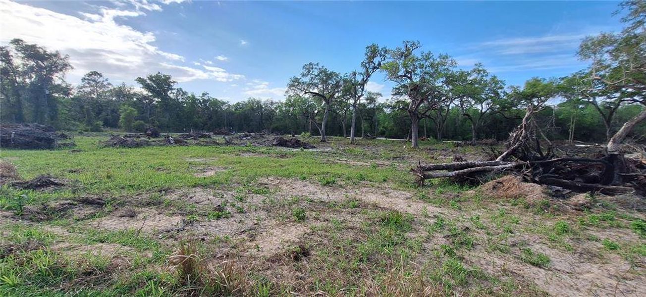 Natural landscape and outdoor views near  in Webster (Image 30).