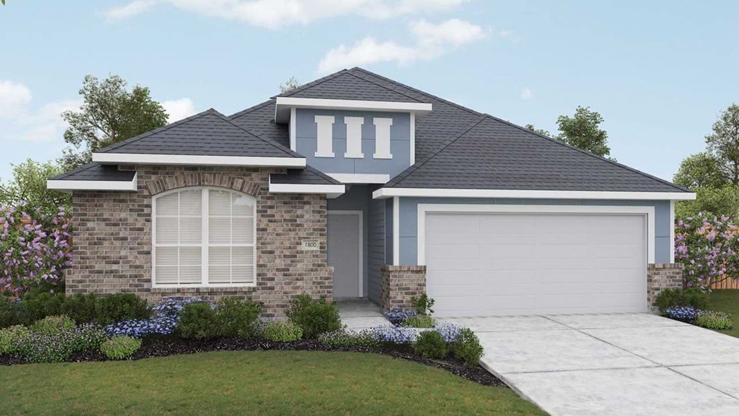 Elevation P Elevation P