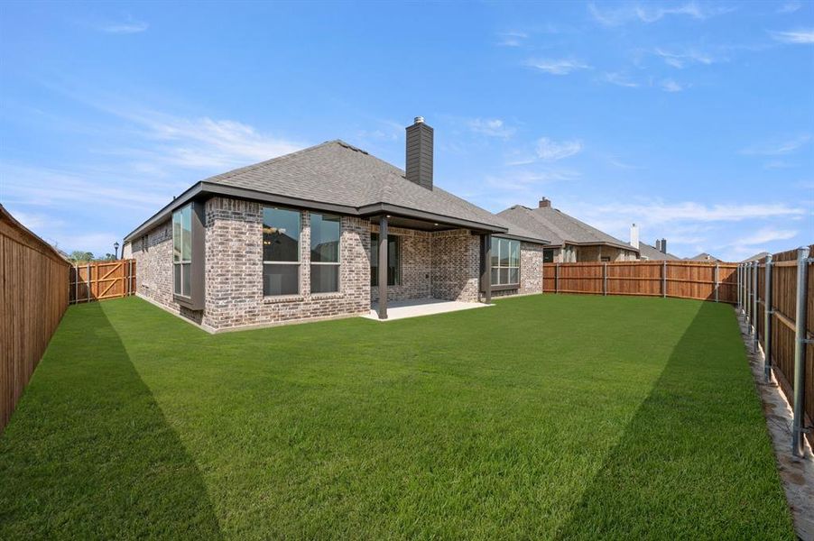 34 Harrier- Back-1 34 Harrier- Back-1