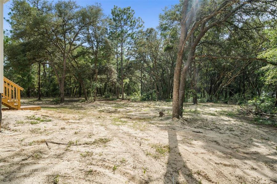 Natural landscape and outdoor views near  in Dunnellon (Image 36).