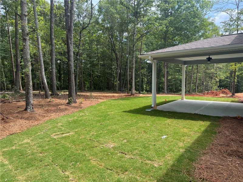 Exterior details and patio area of a home in The Fields of Walnut Creek, Pendergrass (Image 4).