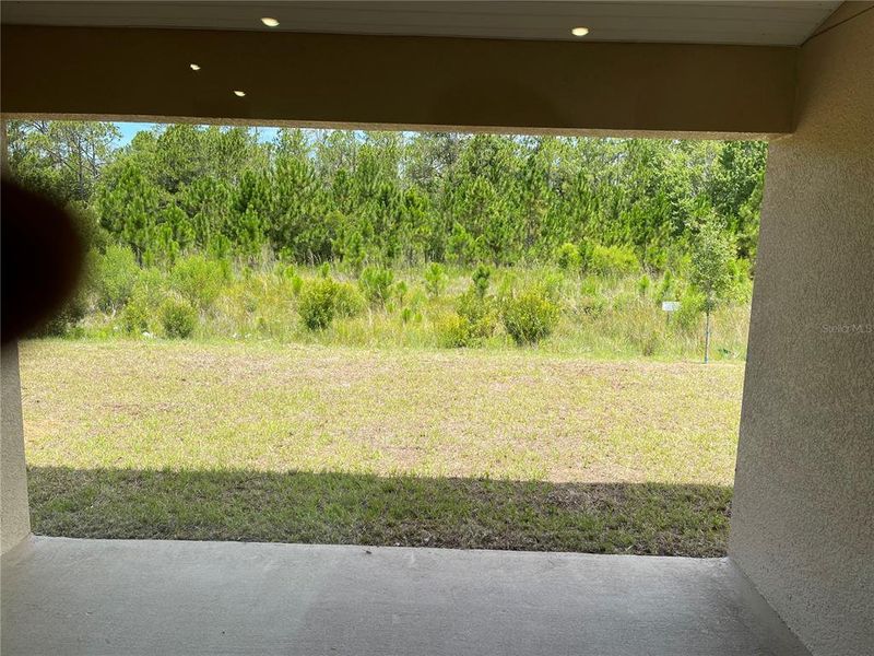 Exterior details and patio area of a home in Harmony Central, St. Cloud (Image 14).