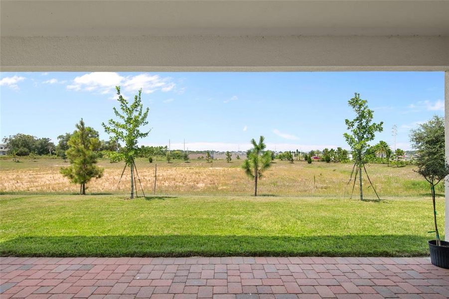 Exterior details and patio area of a home in Waterbrooke, Clermont (Image 28).