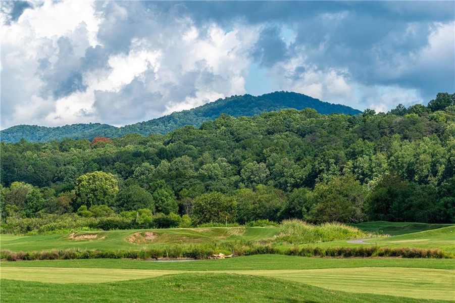 Natural landscape and outdoor views near  in Blairsville (Image 97).