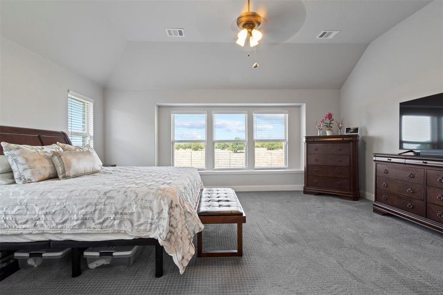 Bedroom with carpet floors, ceiling fan, and lofted ceiling