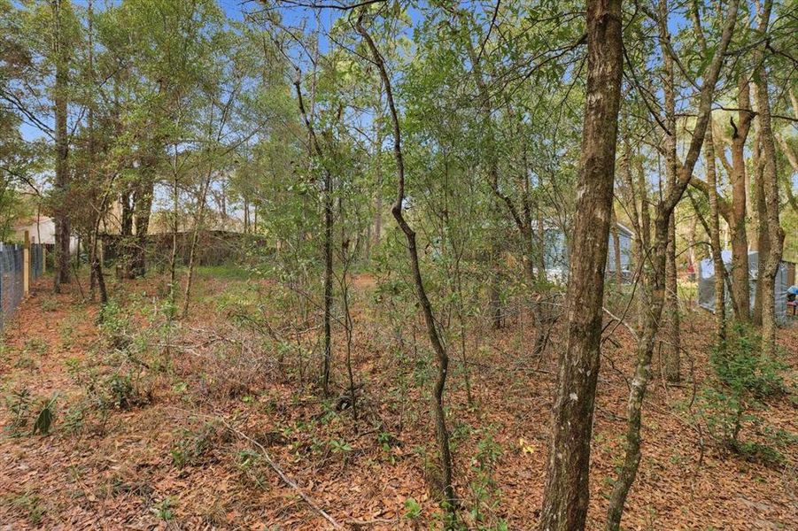 Natural landscape and outdoor views near  in Dunnellon (Image 38).