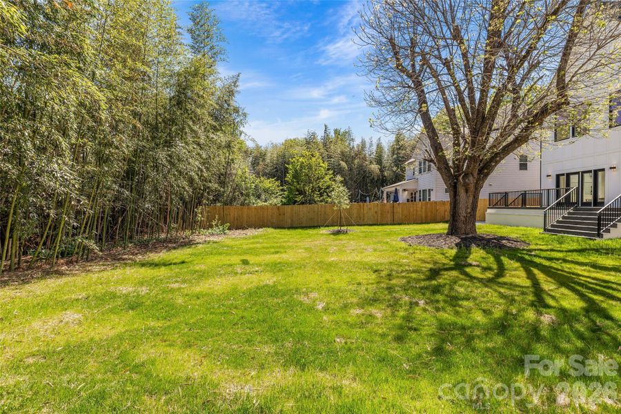 Natural landscape and outdoor views near  in Charlotte (Image 40).