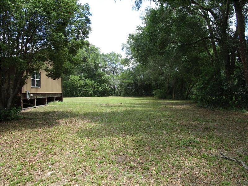 Natural landscape and outdoor views near  in Dade City (Image 31).