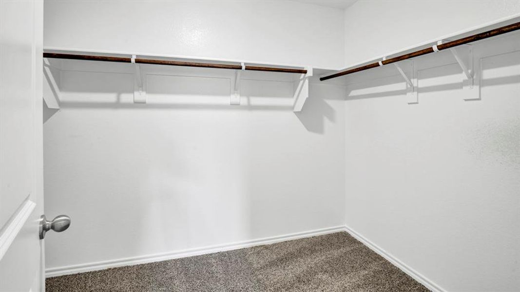 Walk-in closet featuring white walls, gray carpet, and two levels of wood-finish hanging rods with shelving