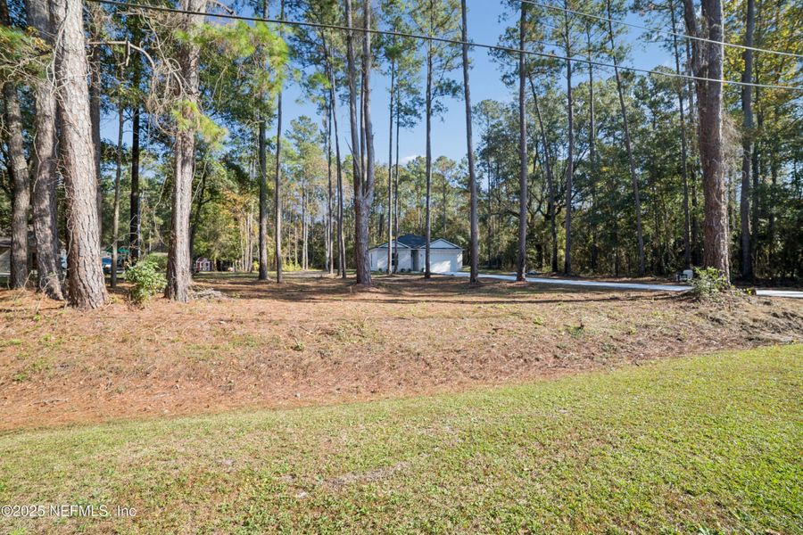 Natural landscape and outdoor views near  in Jacksonville (Image 34).