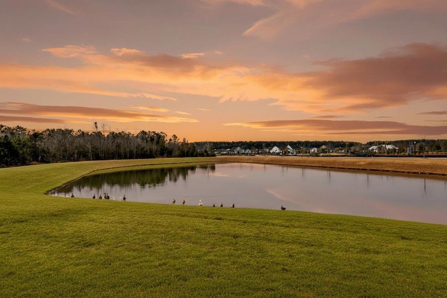 Natural landscape and outdoor views near Carnes Crossroads in Summerville (Image 49).