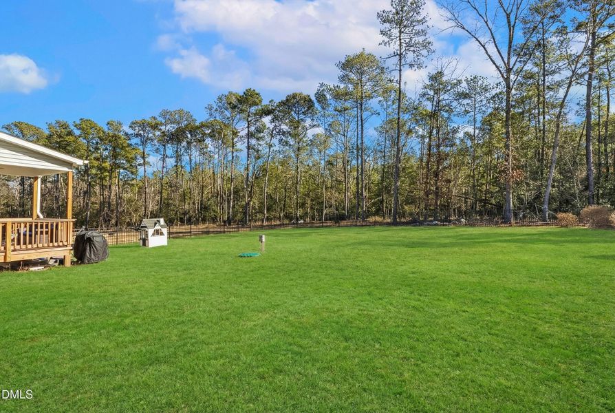 image_version_2 (14)