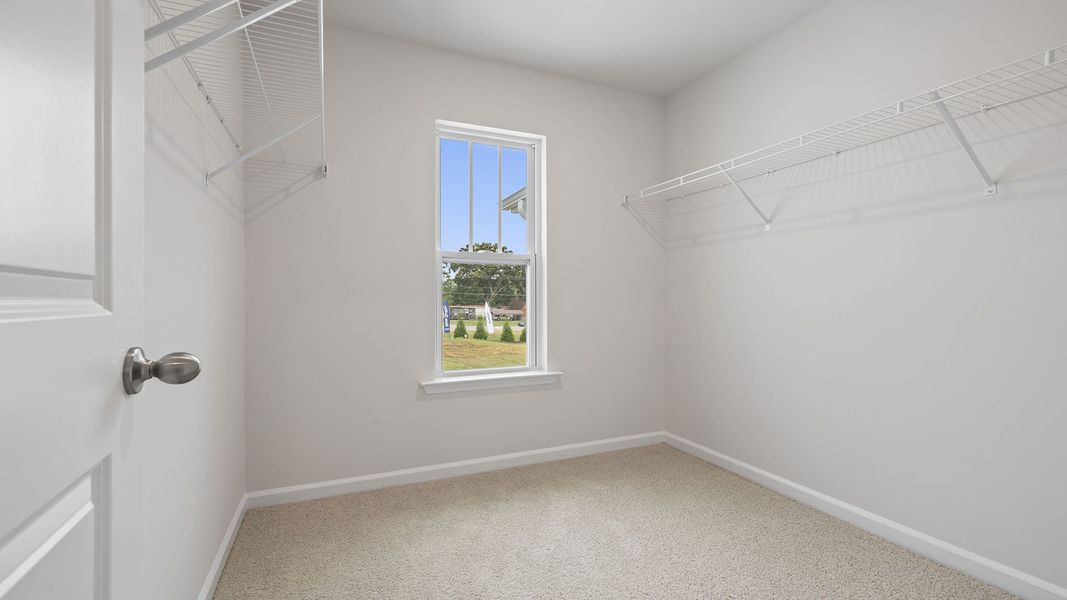 Spacious, unfurnished interior of a new home in Tanglewood Townes, Greenville (Image 26).