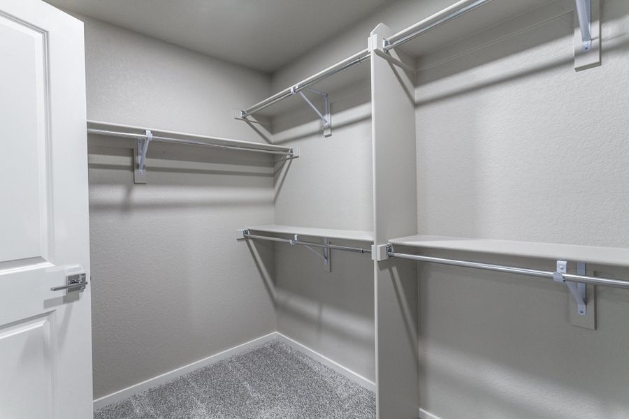 Spacious, unfurnished interior of a new home in Bloom, Fort Collins (Image 79).